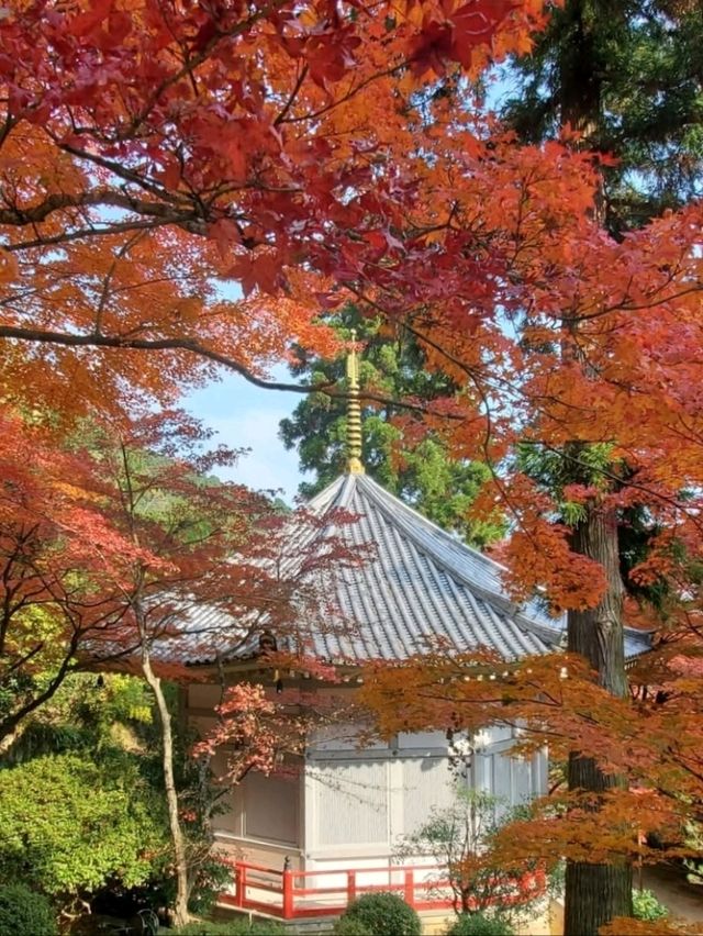 自然に溶け込む県下随一の紅葉の名所