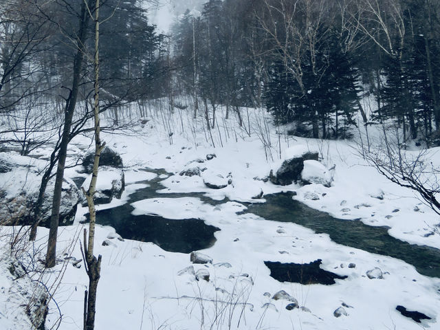 🇯🇵北海道最大最高國家公園🏞️