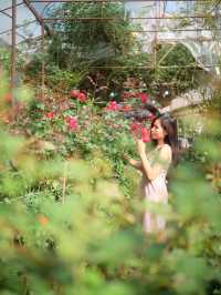 พาไปชมสวนกุหลาบหลวง 🌹ที่เชียงใหม่
