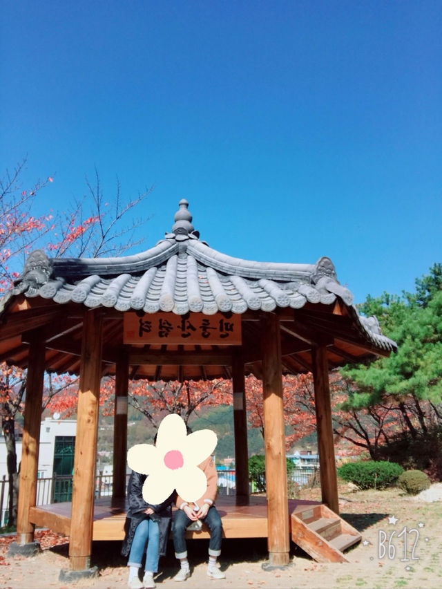 [강원도/민둥산] 높이 1,119m의 벌거숭이 산