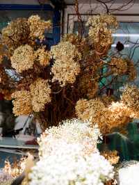 ปากคลองตลาด จากตลาดค้าส่ง สู่ร้านดอกไม้น่าเดิน