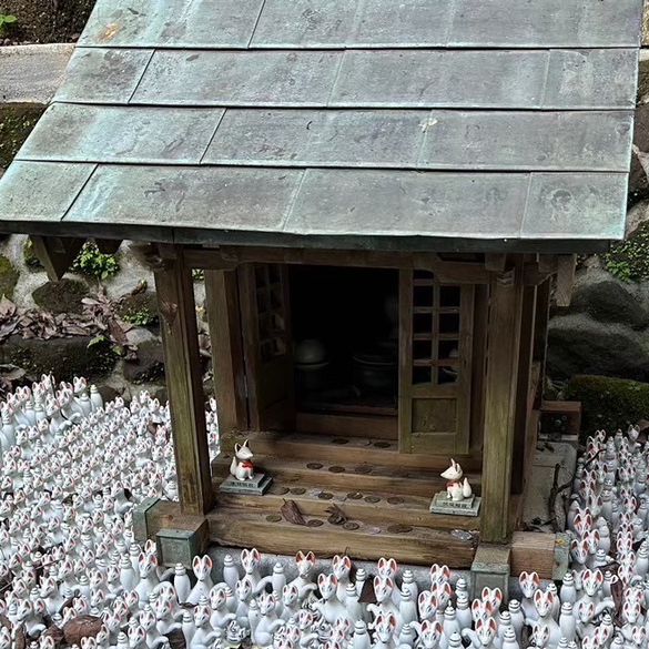 🇯🇵【神奈川県】狐がいっぱい！佐助稲荷神社⛩️