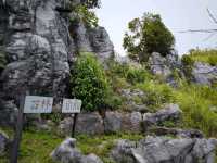 Doi Pha Tang: Hidden gem in northern Thailand