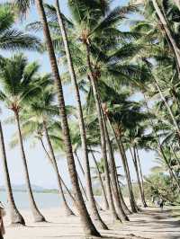 魅力無窮的Palm Cove：澳洲熱帶天堂之旅 🌴🌊
