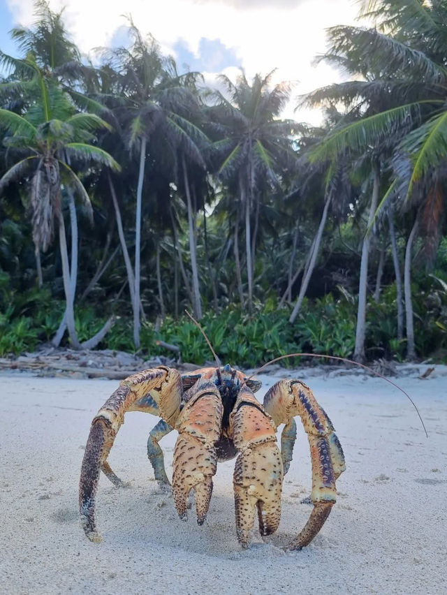 Christmas Island