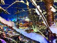 Meet the Reindeer at China Snow Town