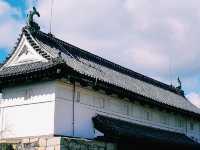 まるで江戸時代にタイムスリップ！🏯