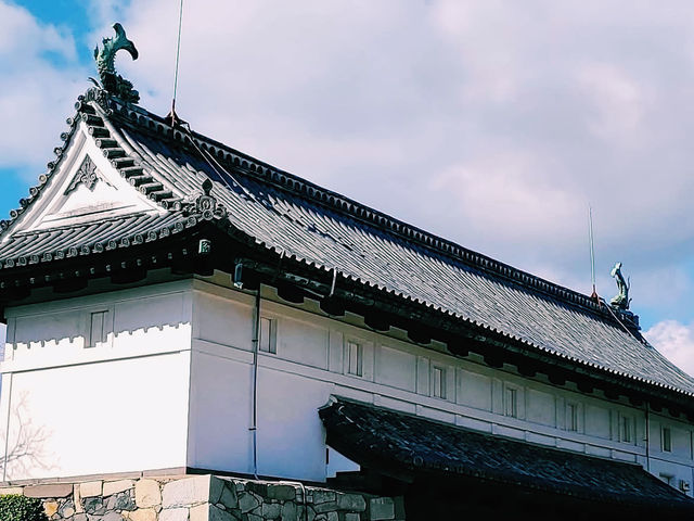 まるで江戸時代にタイムスリップ！🏯