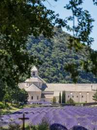 Abbaye de Sénanque: A Timeless Sanctuary Amid Lavender Fields