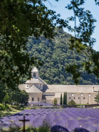 Abbaye de Sénanque: A Timeless Sanctuary Amid Lavender Fields