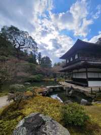 京都神社之旅，好吃好玩好漂亮，你還不出發嗎？