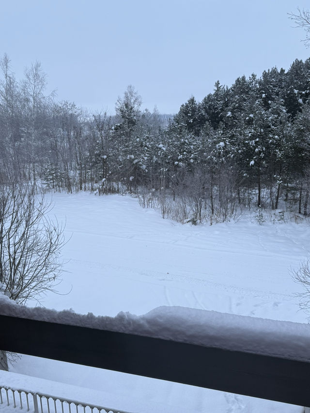 住進美瑛的童話世界✨ | 超夢幻住宿推薦
