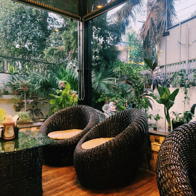 静かに楽しむ紅茶専門カフェ🍵✨
