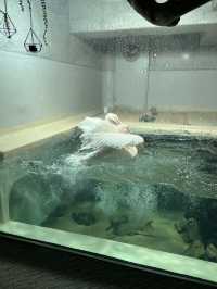 大分　🩵水族館🦭🐬