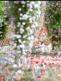 1年中満開のお花が楽しめる🌺 『ベゴニアガーデン』