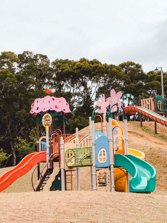 ⟪沖繩八重岳櫻之森公園⟫ 2月尾捉緊緋寒櫻的尾巴