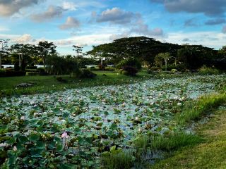 Walailak Park: A Large Public Park