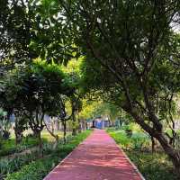 インドの緑に囲まれた癒しの公園🇮🇳