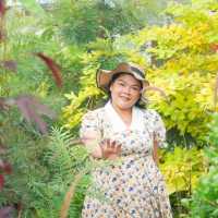 ในเมืองกรุงมุ่งสู่นครนายก