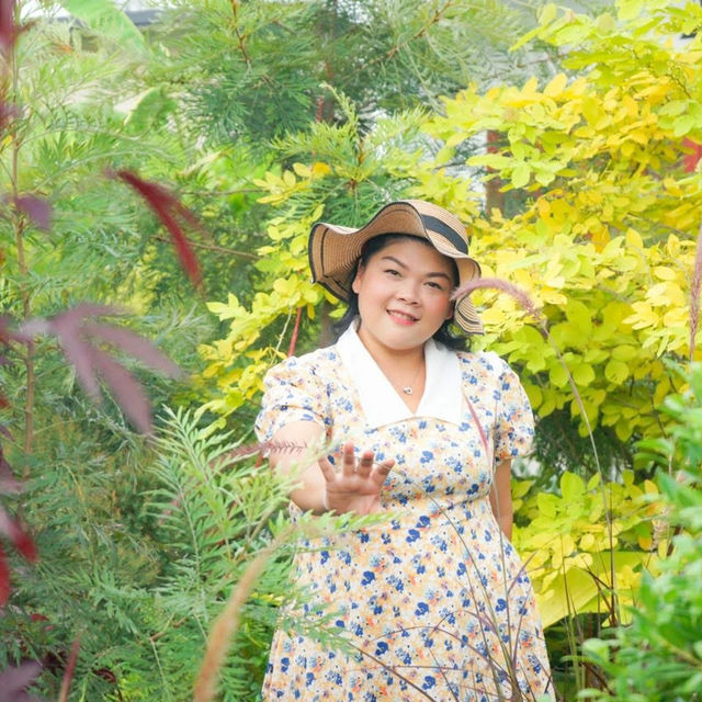 ในเมืองกรุงมุ่งสู่นครนายก