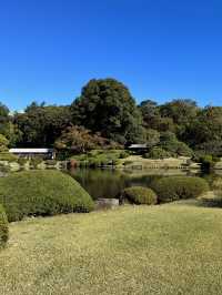 東京植物的夢幻之旅：探索清澄庭園與新宿御苑 🌷🌳