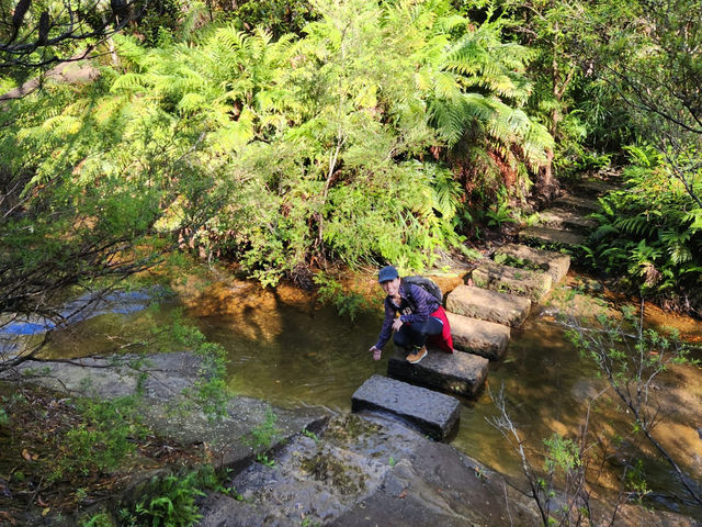 Journey Through Time: Explore the Enchanting Grand Canyon Walk in the Blue Mountains!