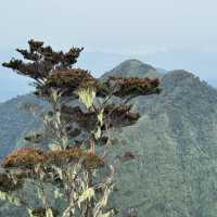 A JOINER CLIMB: MT. KITANGLAD ADVENTURE