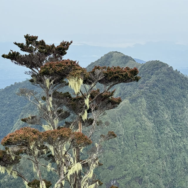 A JOINER CLIMB: MT. KITANGLAD ADVENTURE