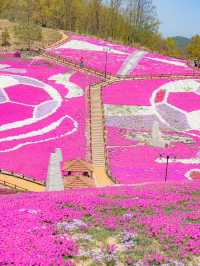 봄이 되면 가기 좋은 산청 1박 2일 여행코스💖🌸