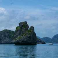 เกาะลิง ธรรมชาติทางทะเล