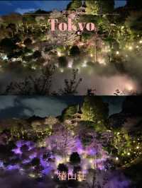 【東京×椿山荘】ライトアップで浮かび上がる夜桜雲海