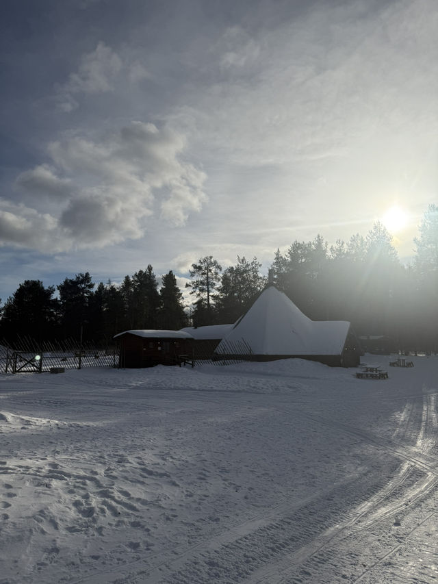 A visit to the Magical Reindeer Encounter in Lapland