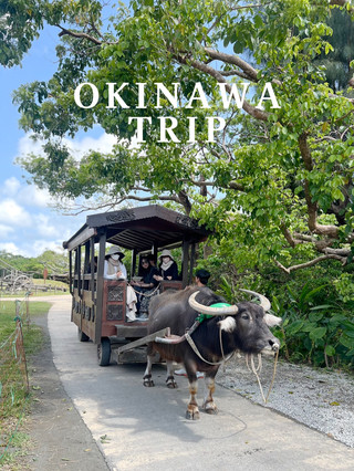 [Uruma City, Okinawa] A hidden spot where you can interact with nature and animals💫
