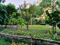 泰國曼谷市中心城市綠洲湖泊公園免稅店一日遊行程，適合休閒逛街打卡拍照📸