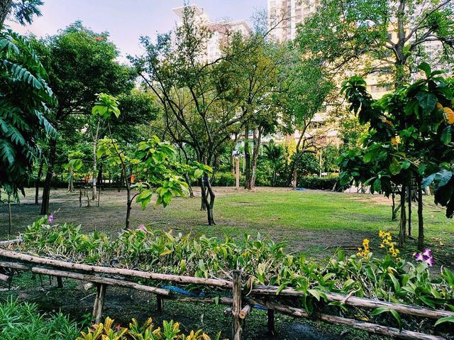 泰國曼谷市中心城市綠洲湖泊公園免稅店一日遊行程，適合休閒逛街打卡拍照📸