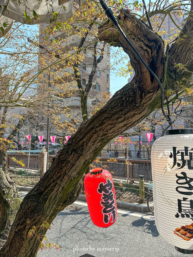 目黒川さくら巡りにおすすめなランチ【東京／中目黒】