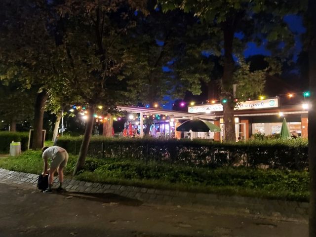 [🇦🇹ウィーン] ウィーンの夜景と夜のオペラハウス — 音楽と美しい景色に包まれる夜