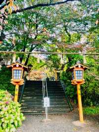 【日本山梨】新倉山淺間公園：步入秋天的畫卷
