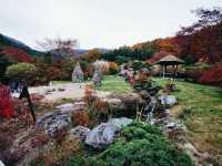 The Garden of Morning Calm: Korea’s Tranquil Floral Wonderland