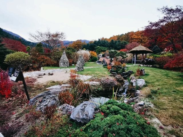 The Garden of Morning Calm: Korea’s Tranquil Floral Wonderland