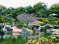 静寂と四季が彩る癒しの空間🌿⛲