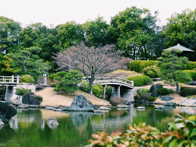 静寂と四季が彩る癒しの空間🌿⛲