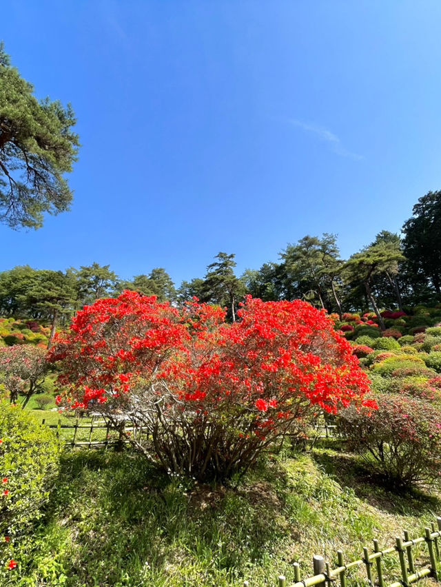 【東京×青梅】