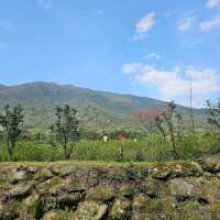 陽明山前山公園