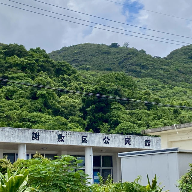 🌿やんばるの「南瞑森室」で心と体をリセット🌿