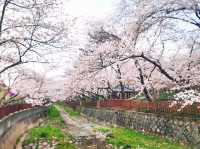 Yeojwacheon Romance Bridge review