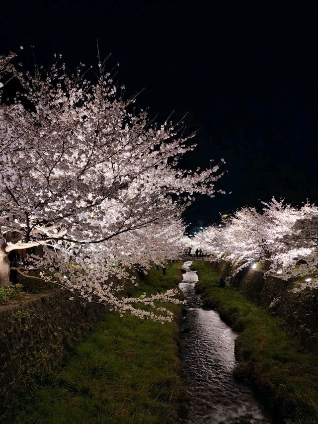 【山口グルメ】一の坂川・ラセーヌ