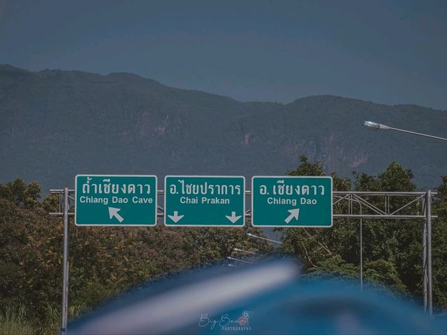 เชียงดาว 