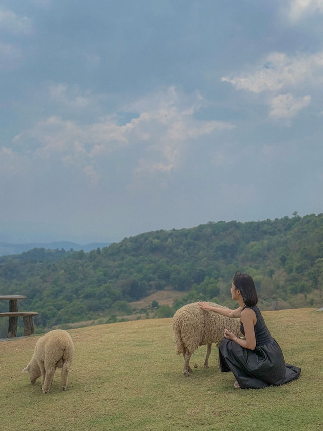🇹🇭치앙라이에서 힐링 한모금, Akha FarmVille🇹🇭