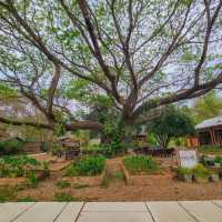 ที่พัก ร้านอาหาร คาเฟ่ ริมลำธาร เชียงราย